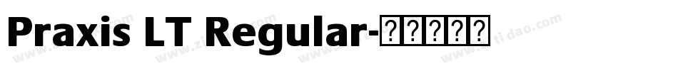 Praxis LT Regular字体转换